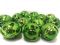 Jingle bells 4 cm, 25 pcs. in unitary enterprise.