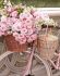 Прованс 30*40 см. A set for creativity with rhinestones on a stretcher Provence 30 * 40 cm