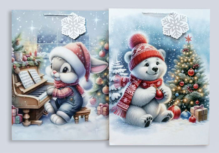 Package 32*44*20cm paper Melody of Winter, 12 pcs per pack.