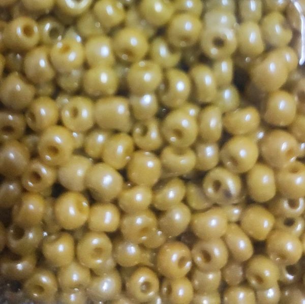 Beads 6 F mustard mother-of-pearl