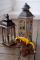 Horse Gallop 20 cm