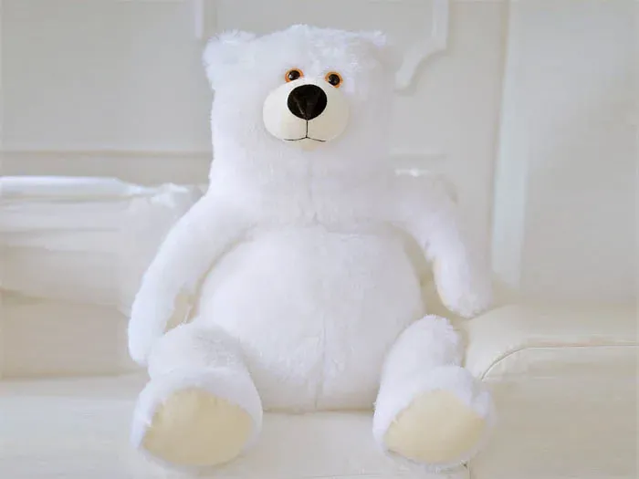 Bear Umka big heart