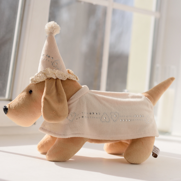 Dog Wizard 27 * 47 cm