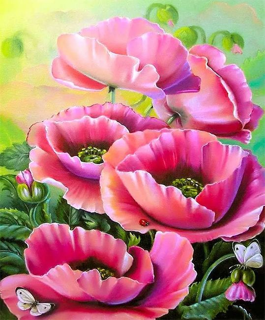 Pink poppies 40*50 cm. Set for creativity with rhinestones on a stretcher