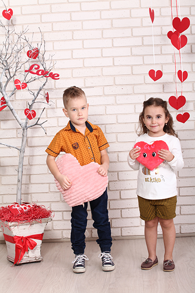 Pillow decorative Heart