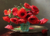 Poppies, 50*40cm. Set with rhinestones (canvas+holder)