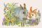 Rabbits. Nadia Starovoitova, 20*30 cm. Set for creativity picture by numbers