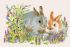 Rabbits. Nadia Starovoitova, 20*30 cm. Set for creativity picture by numbers