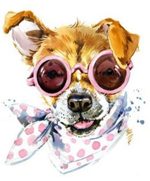 Набір для творчості зі стразами на картоні 5D "Dog fashion"  21*25см