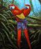 Set d/t 5D Parrots 61*72