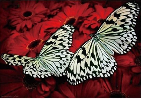 Together, 20*30cm. Set for creativity with rhinestones on the frame