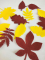 Decorative felt product Set of autumn leaves 3, 12 pcs per pack