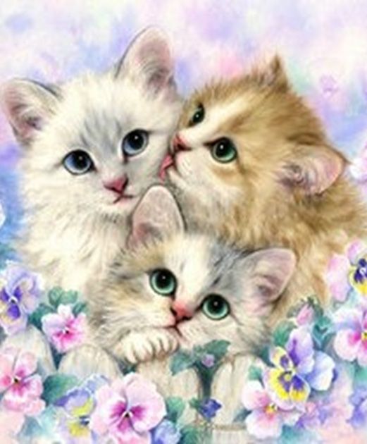 My kittens are 21*25 cm. Set for creativity with rhinestones on 5D cardboard