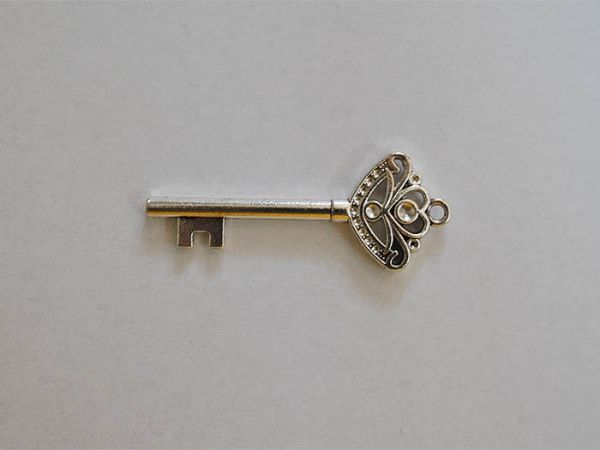 Accessories metal Key with rhinestones silver