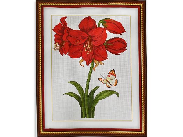 Kit embroidery cross Red Cana