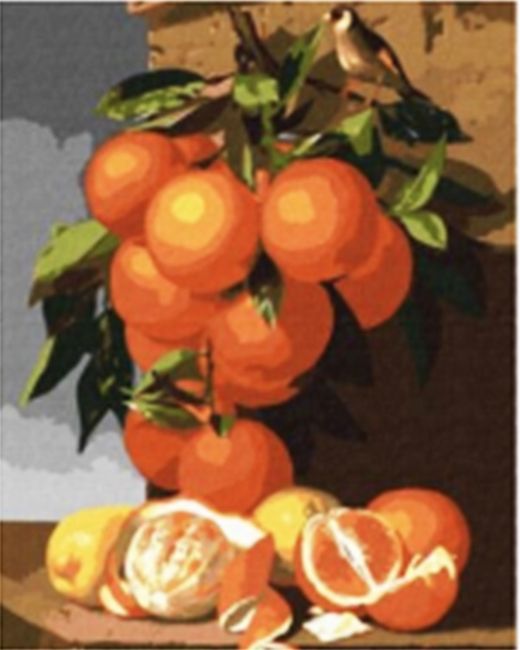 Still life with oranges in the landscape Hood. Antonio Mensaque. 40*50 cm. Set for creativity with rhinestones on a stretcher