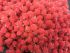 Pom-pom with red dill 5 cm, 100 pcs. in the package.