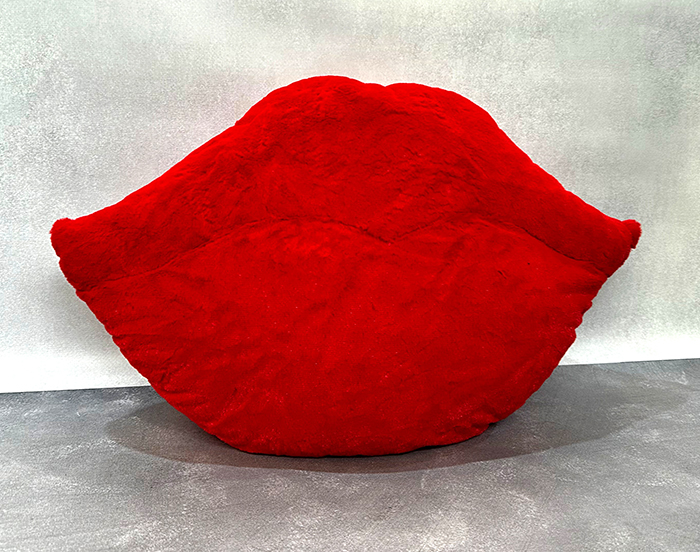 Decorative cushion