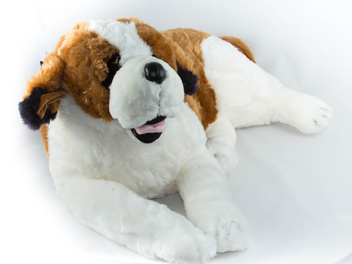 St. Bernard 60 cm
