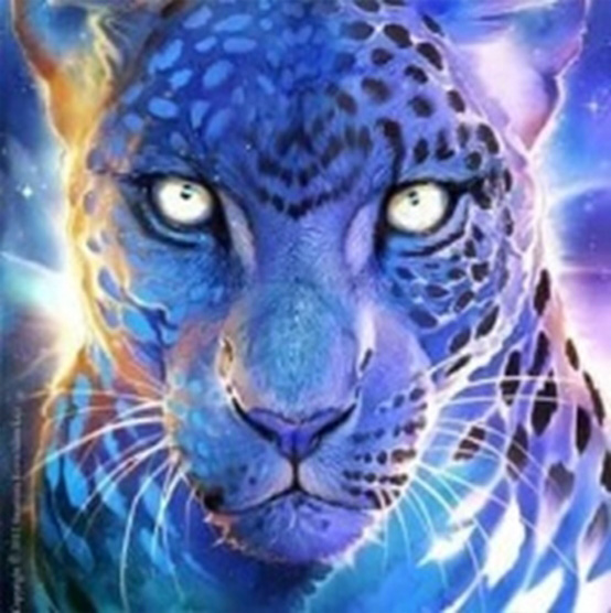Set for creativity with rhinestones on cardboard 5D Bold look 21 * 25 cm