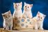 Set for creativity with pastes 5D Four, 21 * 25