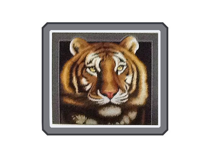 Kit embroidery cross Tiger