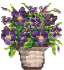 Summer bouquet 15*16 cm. (sticker)