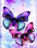 Moths 20 * 30 cm. A set for creativity with rhinestones on a stretcher.